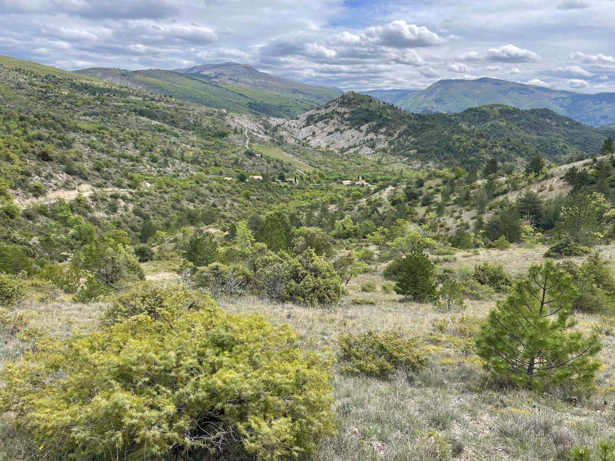 La Maison De Vergol Montbrun-les-Bains Exteriör bild